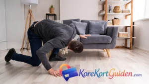 Mistet Kørekort? Sådan får du et nyt hurtigt